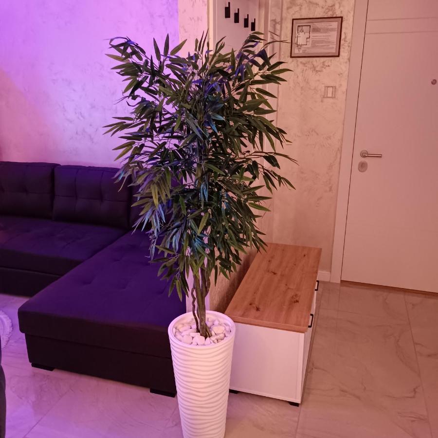 Rb Apartment 3 Lux Smart House スボティツァ エクステリア 写真